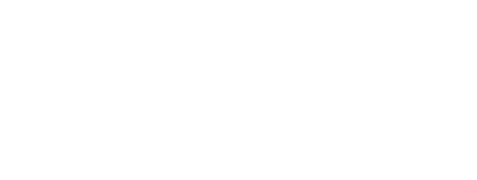 Intelligence urbaine