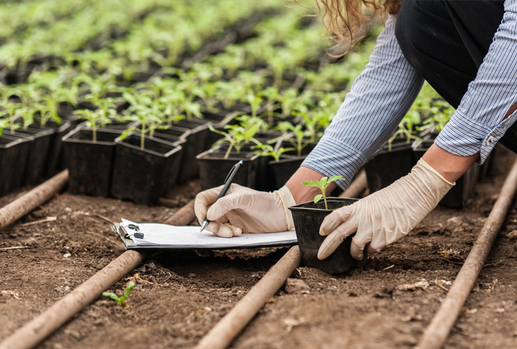 Unités mixtes de recherche