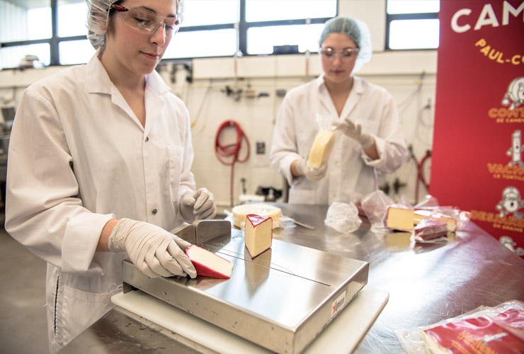 Chaires de recherche en partenariat