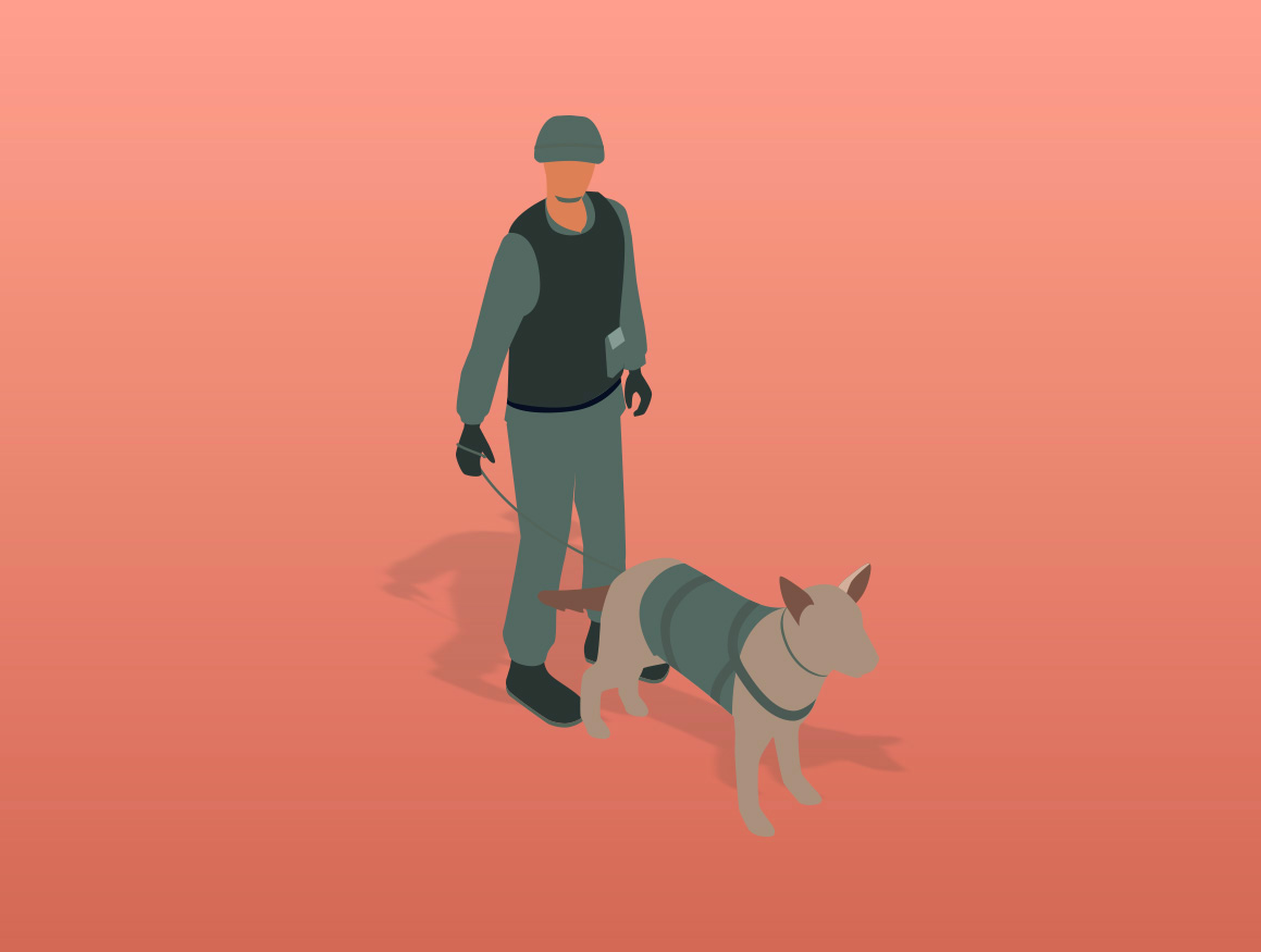 Brigade canine