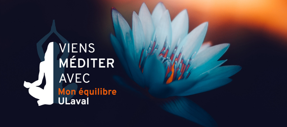 Viens méditer