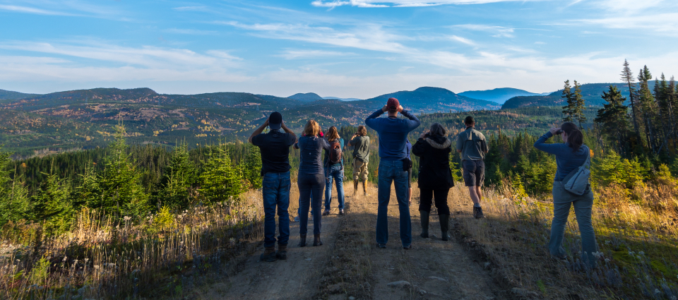 Individus à la forêt Montmorency