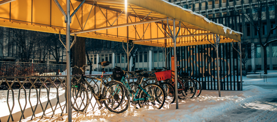 Abri de vélos en hiver
