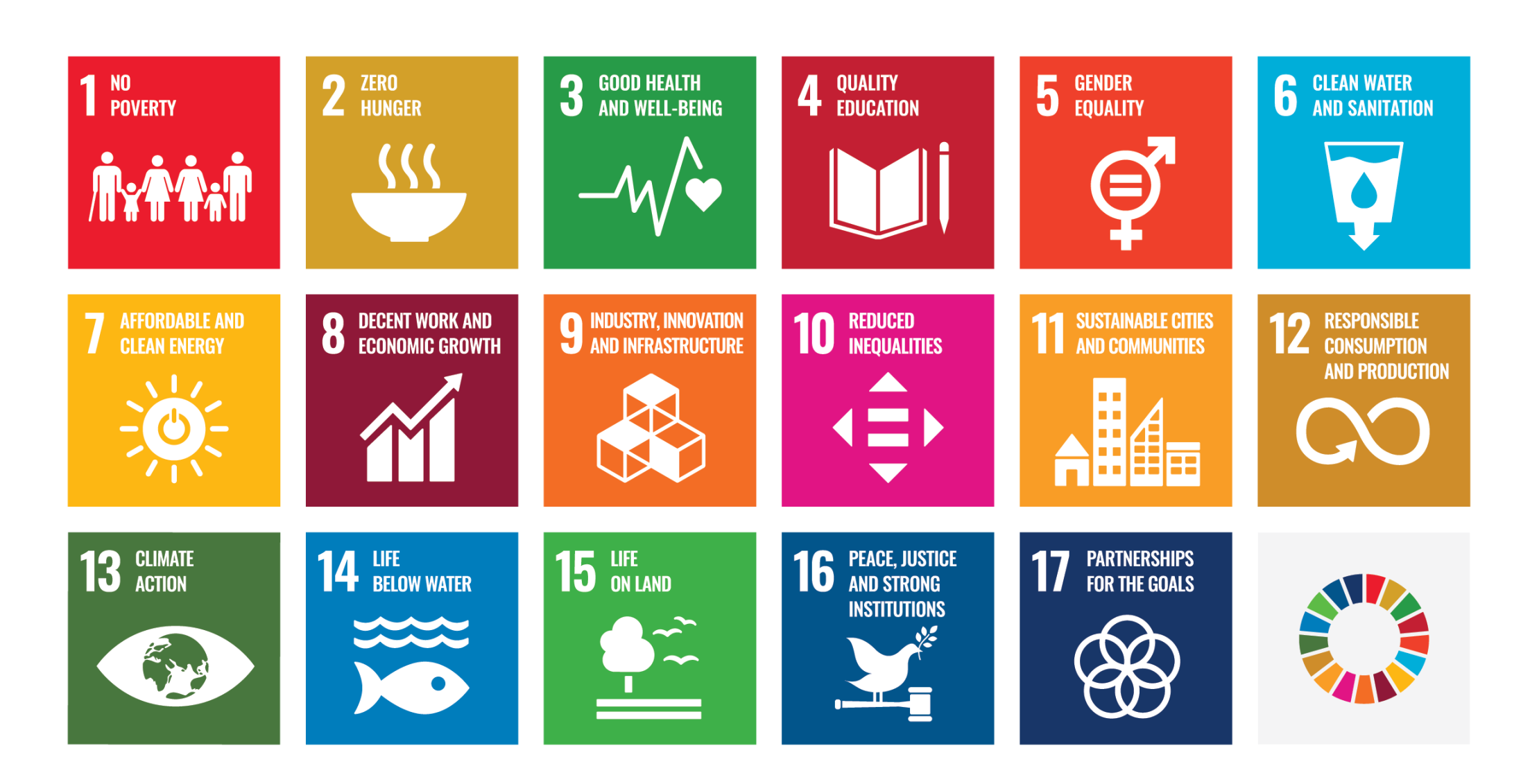SDG poster