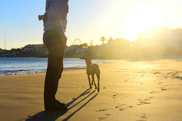 Homme avec son chien sur la plage