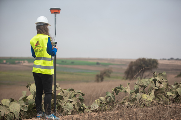Arpenteur sur le bord d'une route