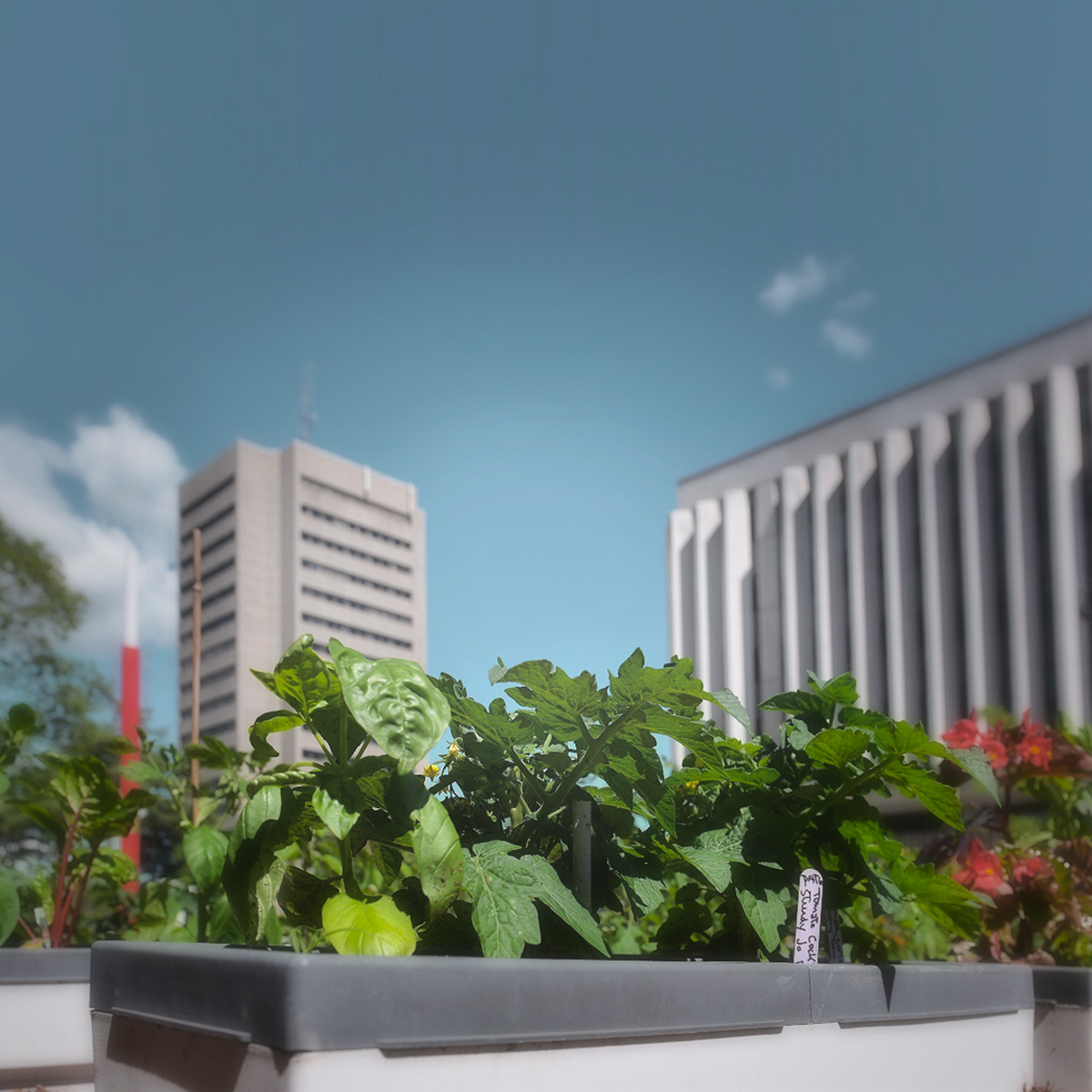 Sustainable development