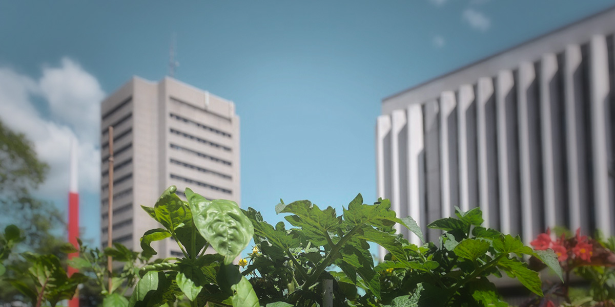 Sustainable development