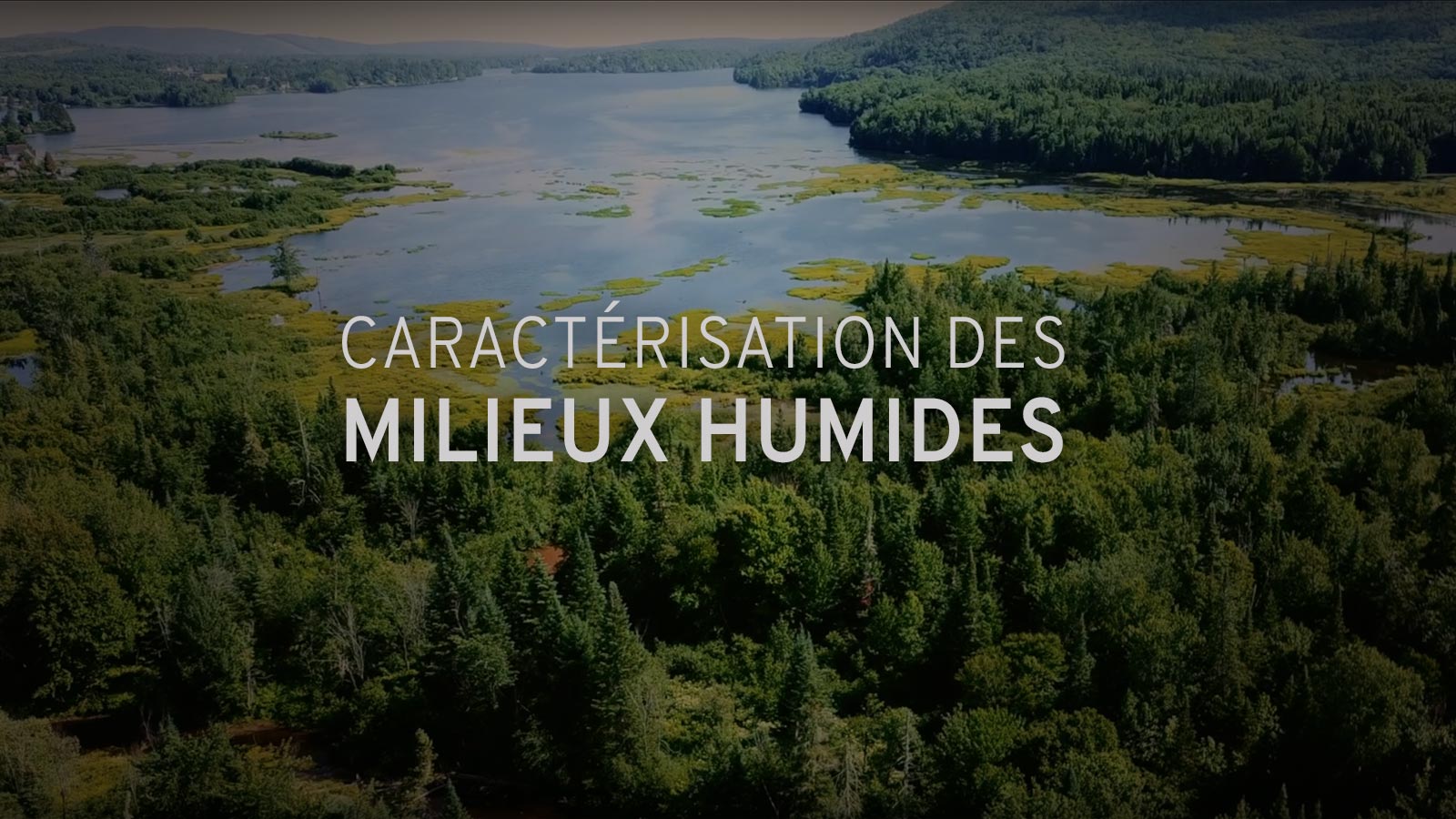Caractérisation des milieux humides