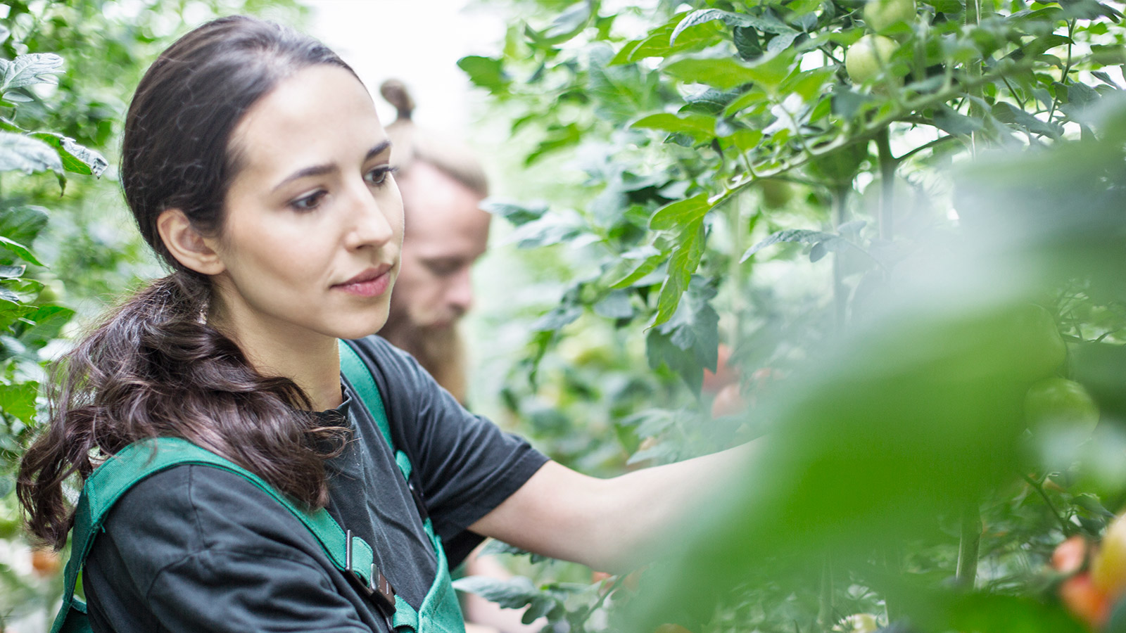 Au cœur des débats bioalimentaires: s’engager comme acteur de changement