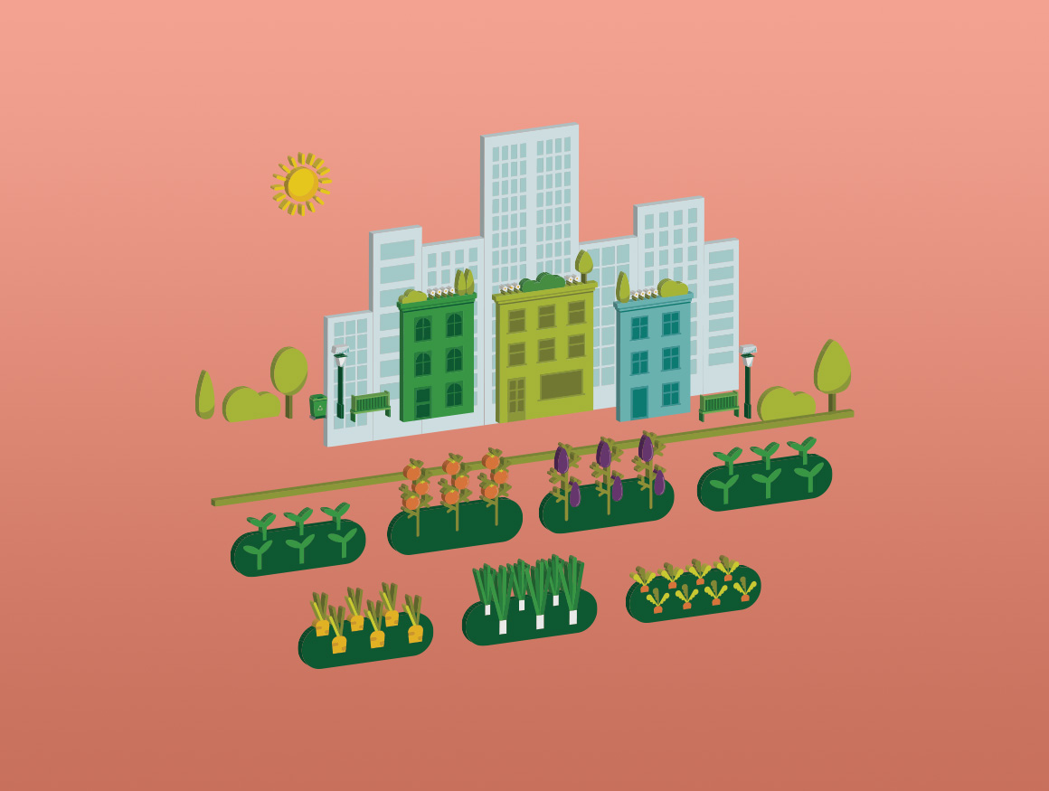 Projet d’agriculture urbaine