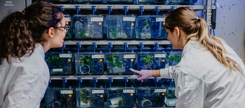 deux étudiantes dans un laboratoire ULaval