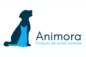 Animora