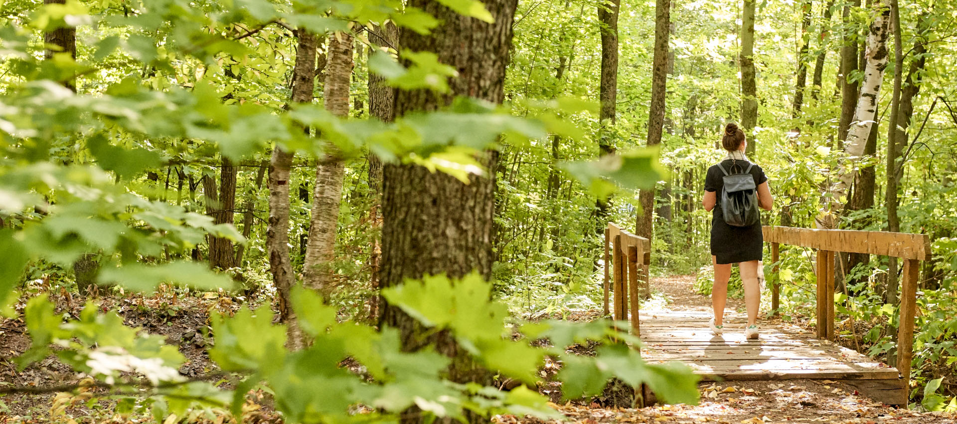 sentier pédestre