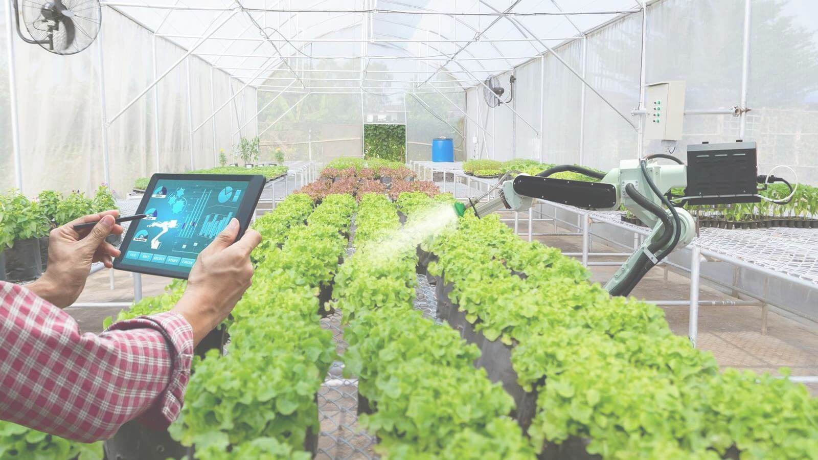 agriculture
