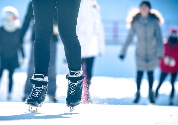 Patins Campus nordique