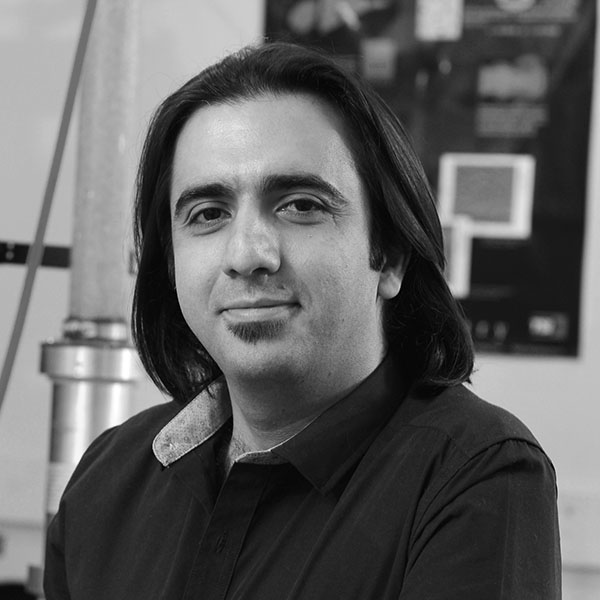 Seyed Mohammad Taghavi