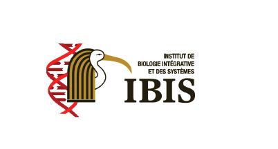 logo-ibis.png