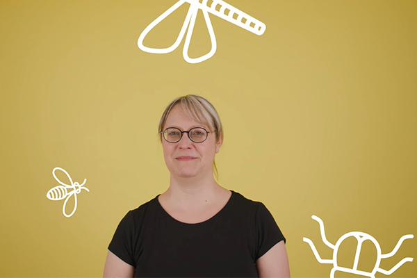 Capture d'écran "Est-il vrai qu’on mange des petits insectes quand on dort?"