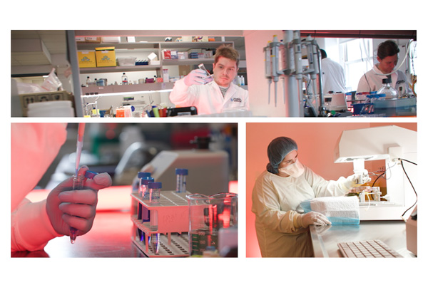 centre de recheche CERVO