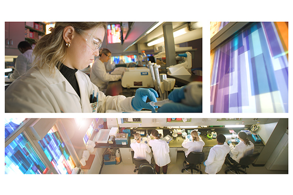 montage avec images de scientifiques