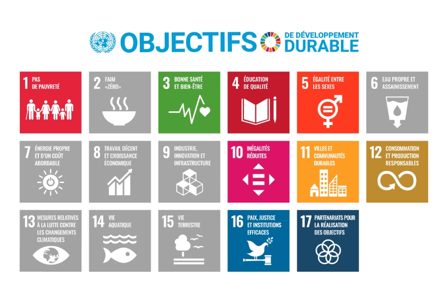 Objectifs des nations unies s'appliquant à cette thématique