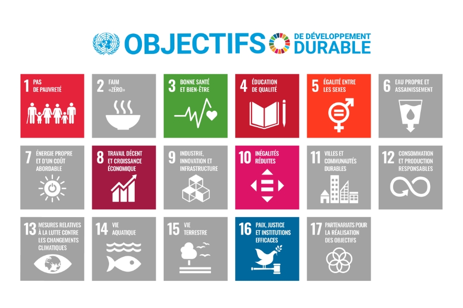 Objectifs des nations unies s'appliquant à cette thématique