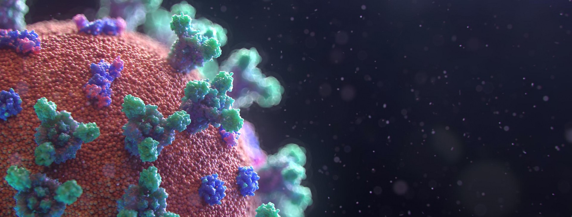 Coronavirus