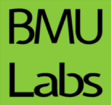 Logo BMU Labs