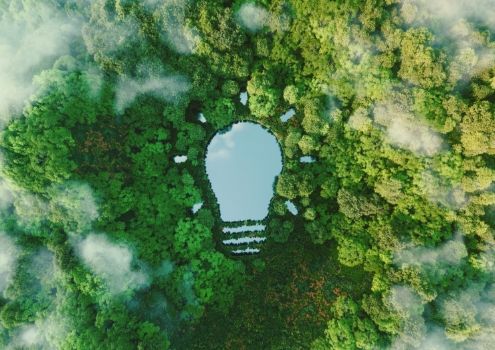 Un lac en forme d'ampoule entouré d'une forêt
