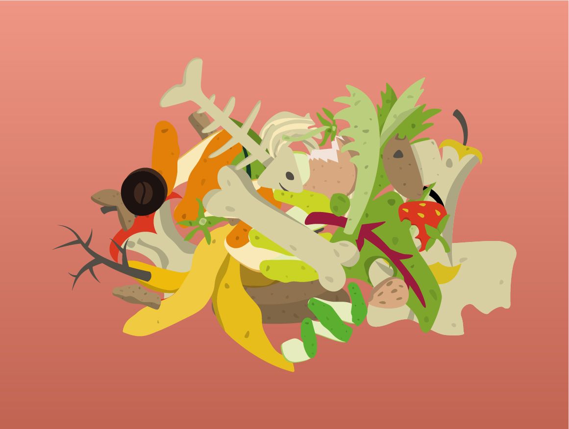 Gaspillage alimentaire