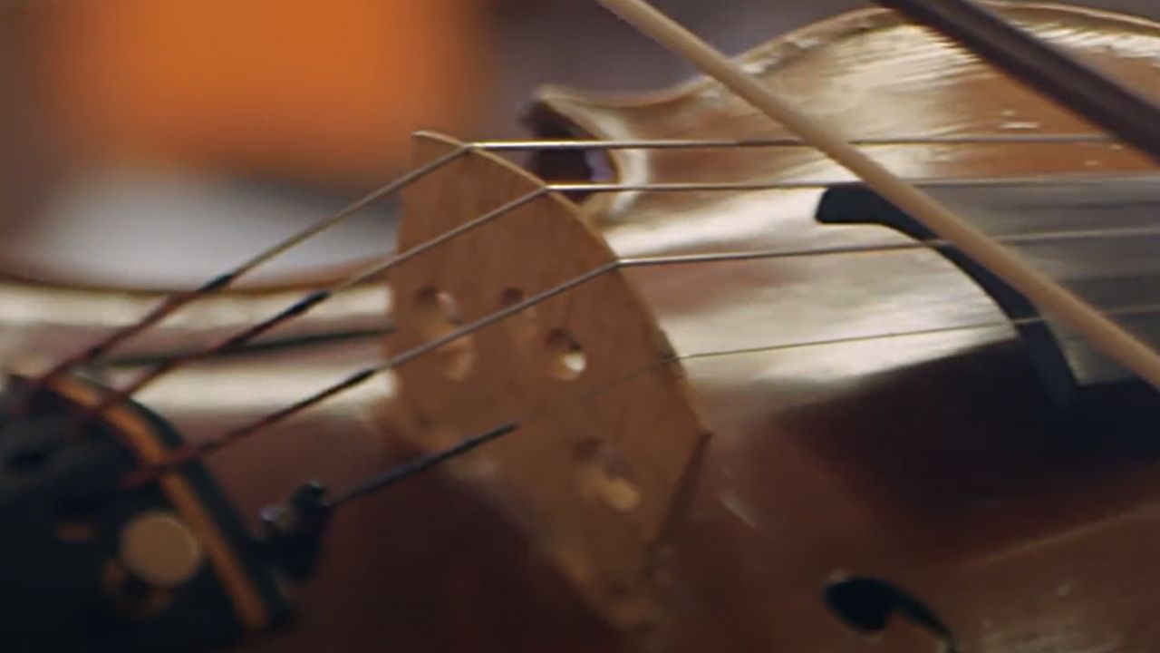 violon