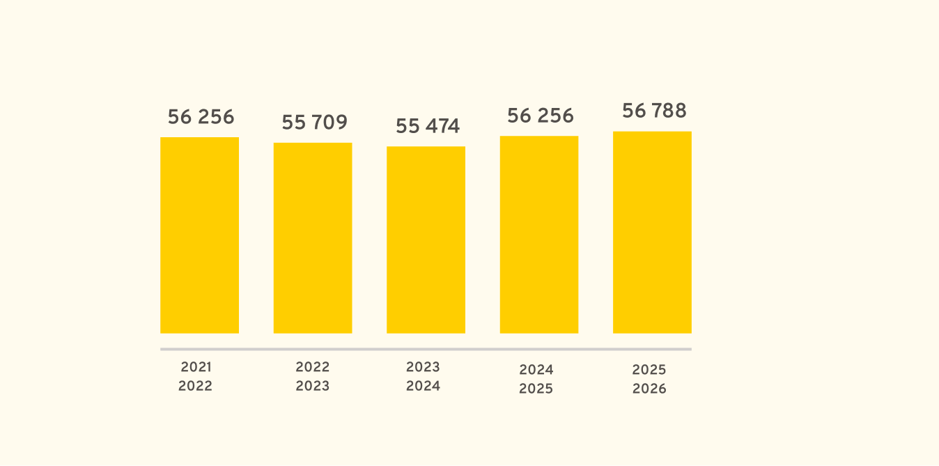 Graphique de l'effectif étudiant total comptabilisé sur une année universitaire