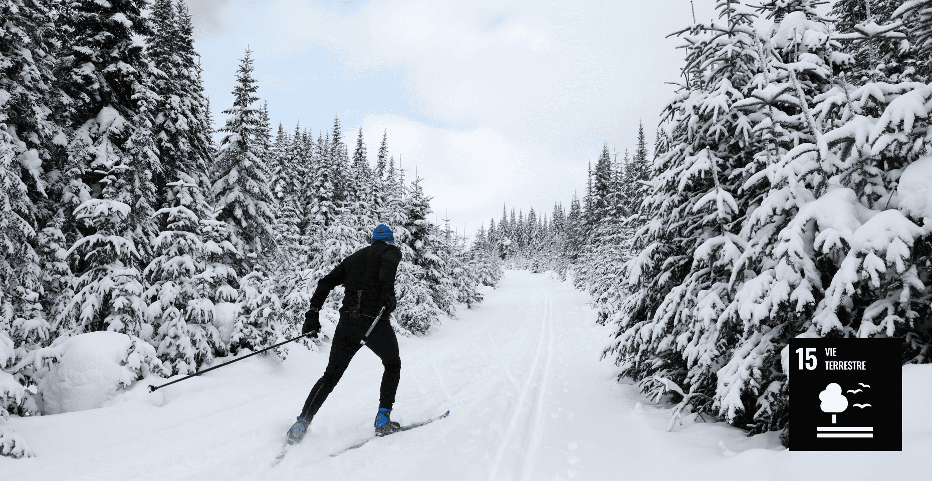 Une saison d’exception pour le ski de fond
