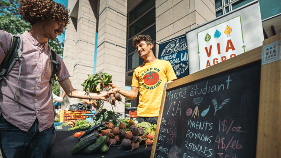Marché de légumes local