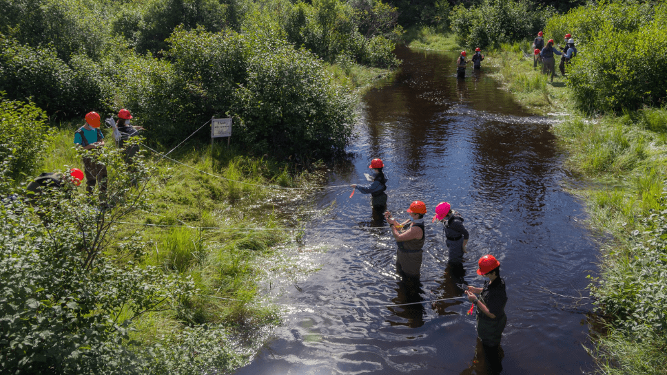 Équipe de recherche Forêt Montmorency