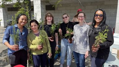 Distribution de plants