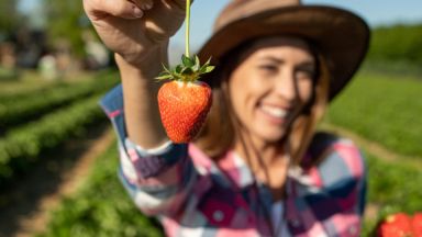 Fraise