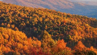 Paysage d'automne