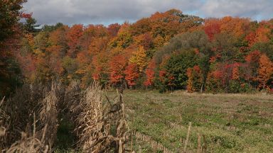 Paysage d'automne