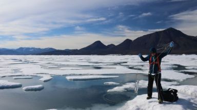 paysage hivernale