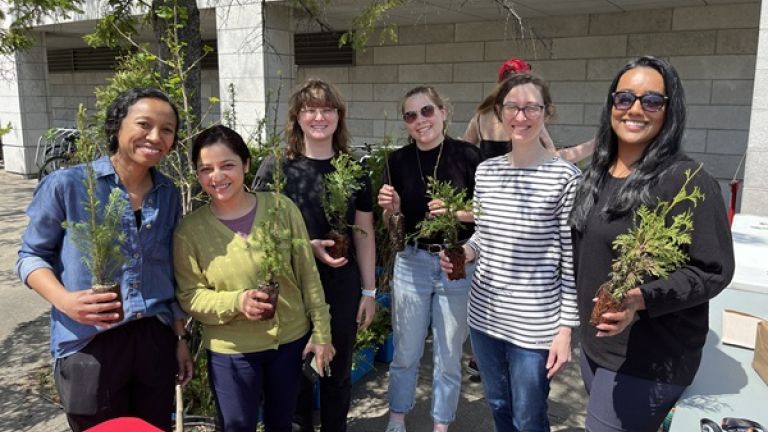 Distribution de plants