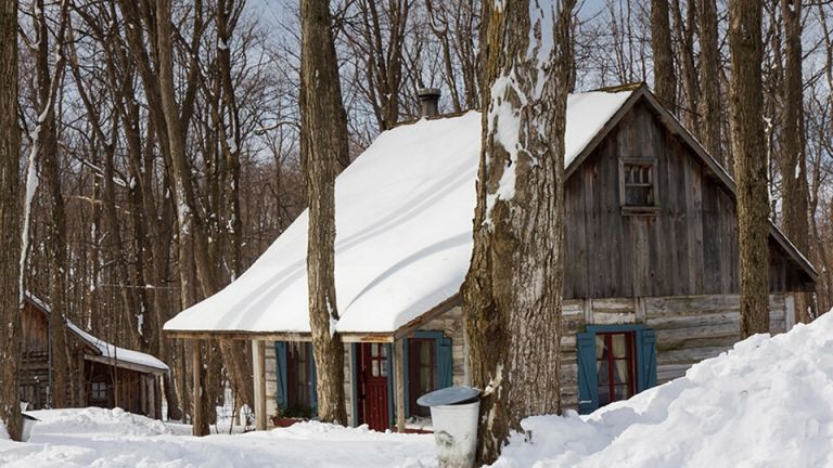 Cabane à sucre