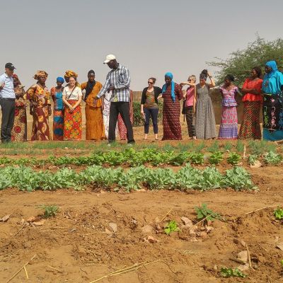 champ au Sénégal